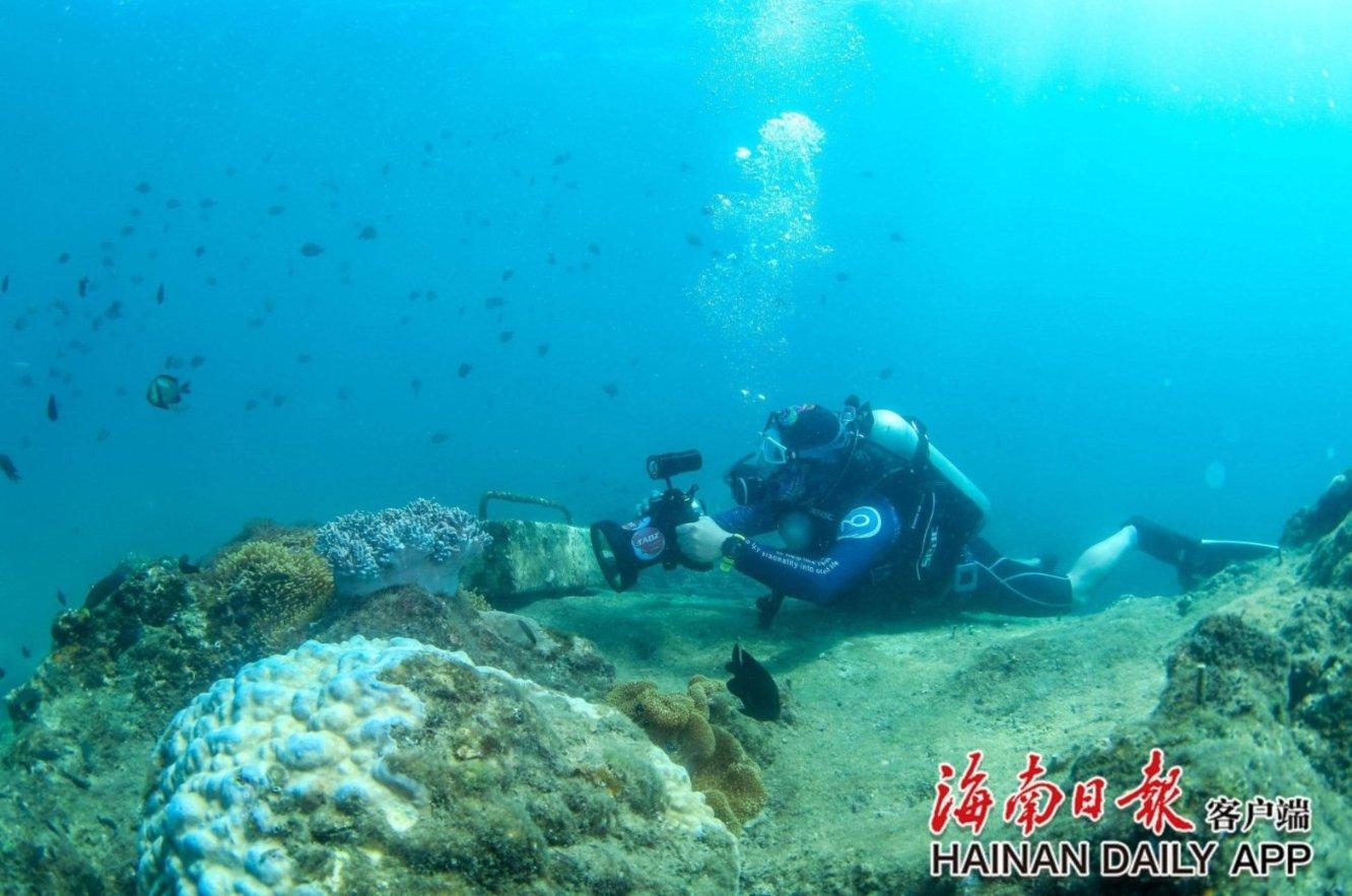探索世界的奥秘,尽在