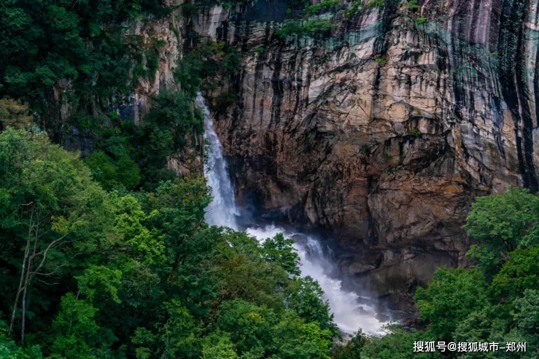 脑洞小老弟无实名认证